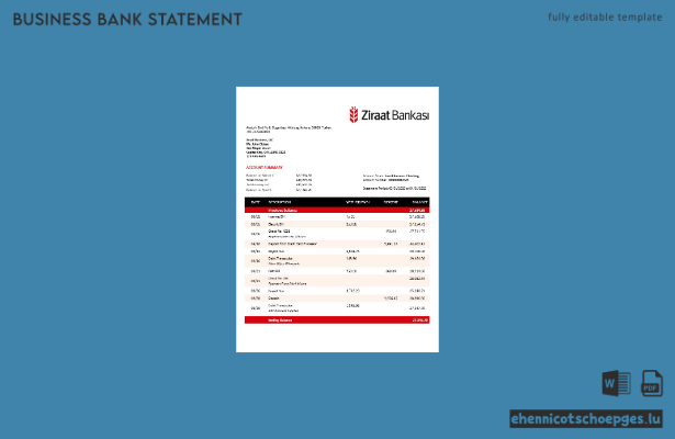 Ziraat Bankasi Geschäftskontoauszug (Word- und PDF-Beispiel)